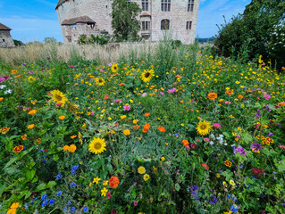 Fototapete bei efototapeten.de bestellen   