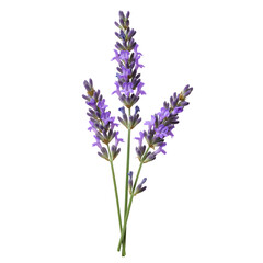 Naklejka premium Circular Elements: Abstract Design with Color Accents - Perfect for Branding & Websites