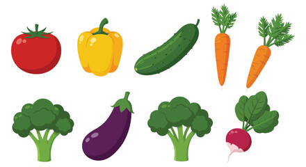 a variety of colorful vegetables arranged neatly in rows