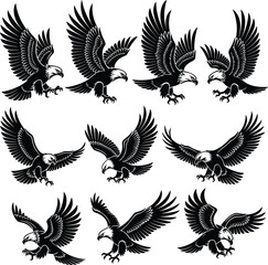 Set of majestic eagle silhouettes in various flying poses, fierce birds of prey, wings spread, powerful talons, wildlife, freedom, nature illustration
