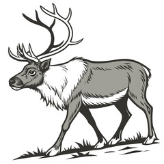 Elegant Deer with Floral Antlers | Stylized Nature Illustration