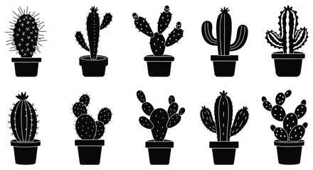 various cacti plants displayed in pots with unique shapes