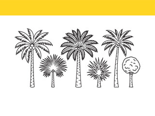 Obraz premium Variety of Palm Trees and a Deciduous Tree Vector Illustration for Tropical Designs and Summer Themes Line Art Style