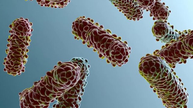 Three-dimensional visualization of gram-negative rod-shaped bacteria belonging to the Enterobacteriaceae family, which are part of the gut microbiome and can cause various infections