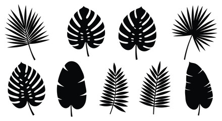 various tropical leaves silhouettes displayed in grid formation