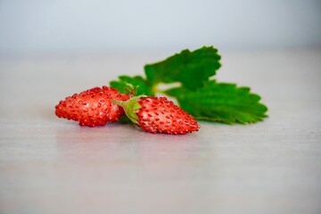 Ripe Wild Strawberries on White Wooden Table – Fresh and Natural.