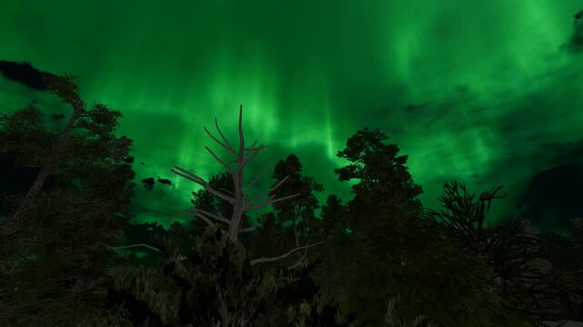 green aurora nature landscape view winter season