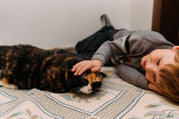 Tricolor adult cat lying on blanket, black-white-red pet resting with a boy
