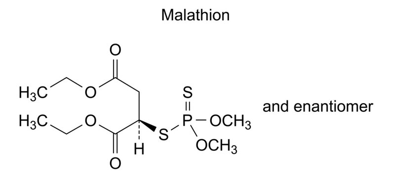 Chemical structure of malathion, drug substance