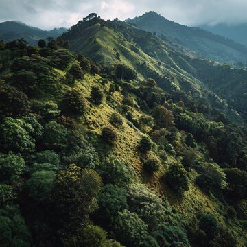 Verdant mountainside panorama under cloudy sky providing a sense of adventure scenic beauty