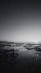 Obraz premium Monochromatic coastline: Tranquil seaside scene, capturing vast horizon and ethereal calm atmosphere