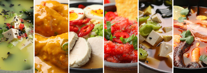 Collection of different dishes with savory taste, collage