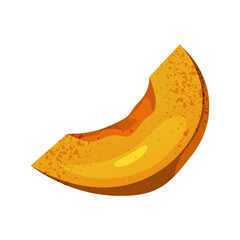 Pumpkin vegetable slice or autumn melon piece. Vector nature symbol for healthy and organic food. Gourd for thanksgiving celebration or squash for cooking. Agriculture and garden harvest, botany.