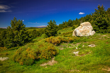 Mountain landscape of the Pyrenees in summer in the South of France. Pastures and forests in Font Romeu.