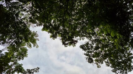 Blue sky with wide cloud spread
