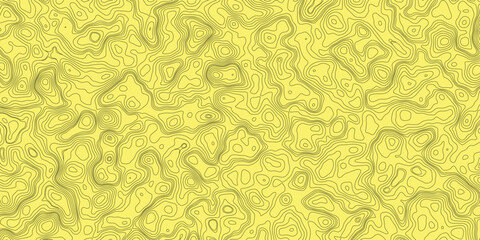 Terrain mapping background abstract with minimal elevation contour lines