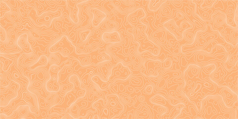 Minimal mapping abstract terrain background with contour line arrangement