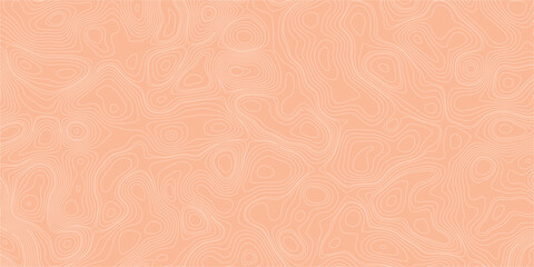 Modern mapping illustration background with organic elevation lines