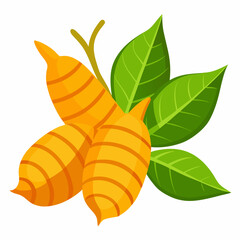 Two Ginger Roots with Leaves