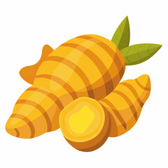 Turmeric Illustration