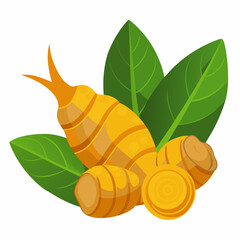 Vibrant illustration of fresh turmeric root with green leaves, perfect for health, wellness, and culinary projects, ideal for promoting natural remedies and healthy living.