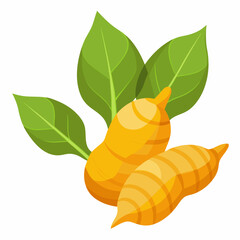 Fresh Turmeric Roots with Leaves