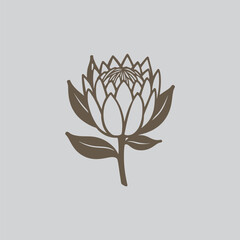 Botanical Protea Flower Outline Clipart
