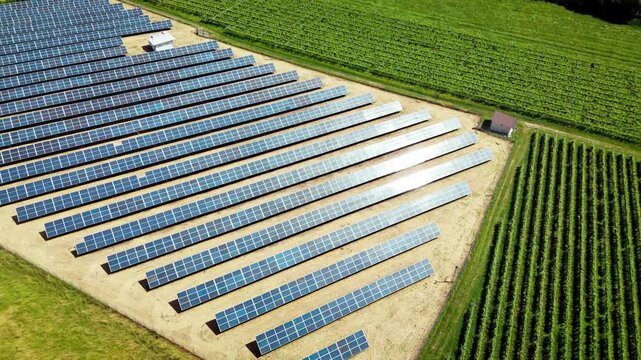 Vineyards and solar panels coexist in Italian countryside. Green energy integration in traditional agriculture