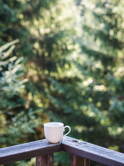 Morning coffee in the pine forest
