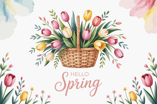 Watercolor Spring Tulip Basket with Hello Spring Message Floral Arrangement for Seasonal Greetings and Celebrations
