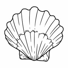 Ocean Shell Drawing