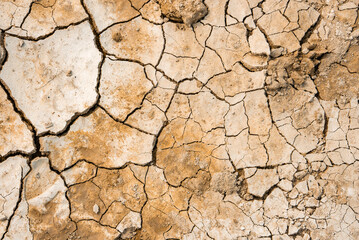 Detailed view of cracked, dried mud with beige and brown tones, scattered debris, and intricate patterns, typical of the arid Nevada desert environment.