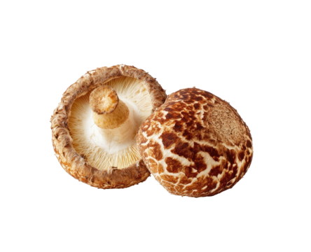 Two whole shiitake mushrooms, light brown caps with darker brown spots, and light tan stems