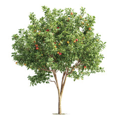 Isolated vibrant apple tree abundant with fruit against a transparent graphical canvas of nature