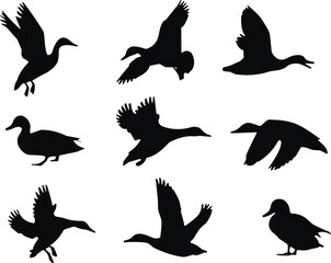 Duck silhouette vector set, flying duck icons, bird shapes, wildlife clipart, black duck poses, animal illustration, nature design