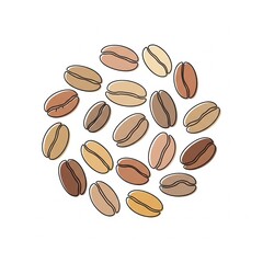 coffee beans on white background