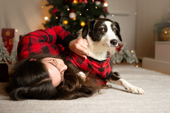 Puppy dog and owner woman celebrating christmas eve next to christmas tree and decoration