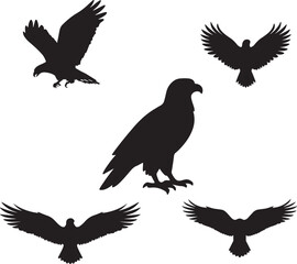 Obraz premium Majestic eagles soaring and perched capturing freedom and power in silhouettes
