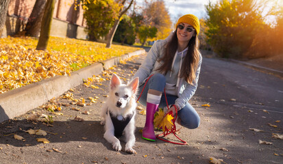 Smiling young woman in yellow beanie and pink boots kneeling beside her white dog on an autumn street, holding yellow leaves and red leash in warm golden sunlight.