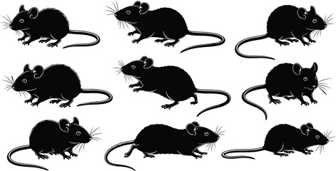 Mouse silhouettes, black rodents, animal poses, isolated on white, stylized mice, whiskers, long tails, biology, behavior, vector illustration
