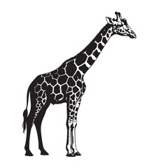 Naklejka premium Majestic giraffe standing gracefully with detailed spotted coat and long neck side view silhouette