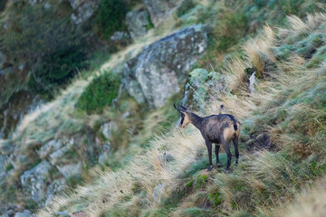 The Goat's Perch, looking Down