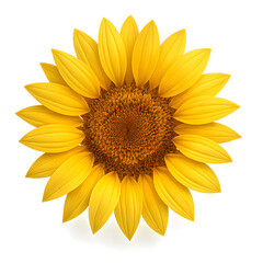 Obraz premium Bright Yellow Sunflower Head Isolated on Transparent Background – Summer Flower PNG