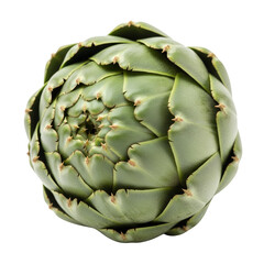 Obraz premium Fresh green artichoke isolated on white background