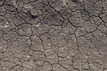 Global warming, Drought in the summer. Dark soil texture closeup