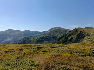 Fototapeta premium Carpathian Ridge under Clear Sky, Ukraine