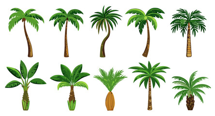 Collection of Tropical Palm Trees: Diverse Styles & Designs