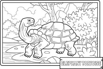 Giant turtle, educational coloring book for kids