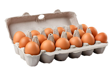 fresh brown eggs in carton isolated on white background