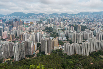 Fototapeta premium View of Hong Kong and Kowloon from Lion Rock Head. Panorama of Hong Kong, skyscrapers and nature.